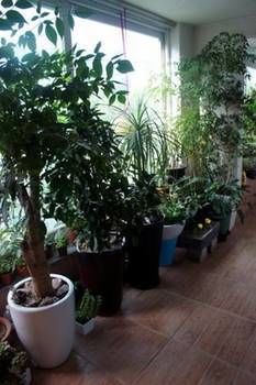 Denis'S House Ξενοδοχείο Σεούλ Εξωτερικό φωτογραφία